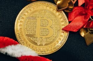 White label digital wallet solutions